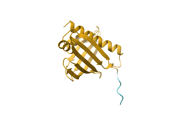AF-A0A5D8YGL0-F1 image