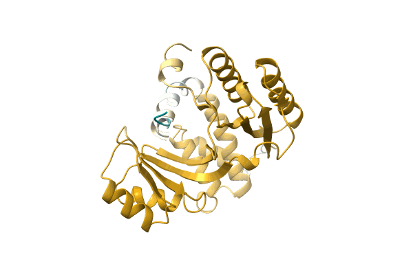 AF-A0A5E5PSJ2-F1 image