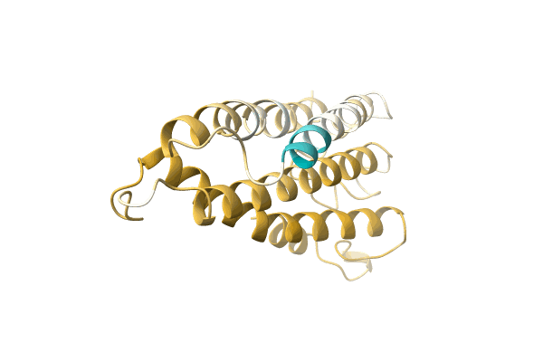 AF-A0A5P8NJB2-F1 image