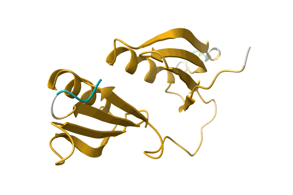 AF-A0A5Q2V6H4-F1 image