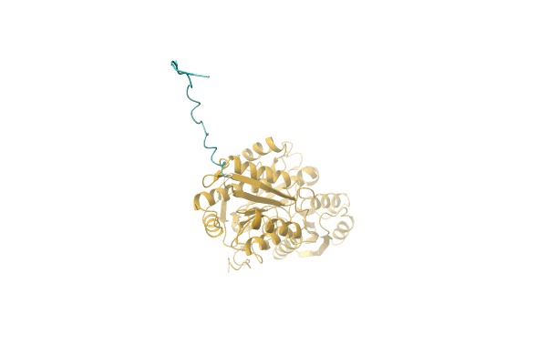 AF-A0A5S4SSS9-F1 image