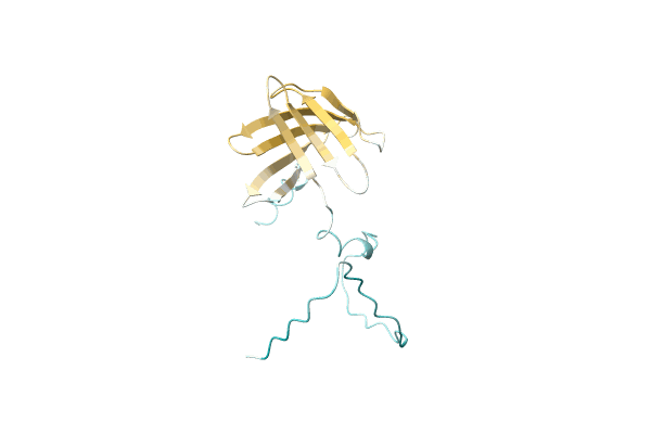 AF-A0A6B0QXX0-F1 image