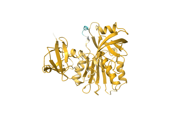 AF-A0A6B2KPH6-F1 image