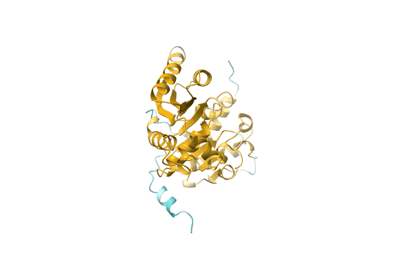 AF-A0A6B2KPJ3-F1 image