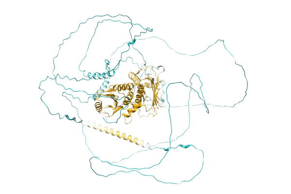 AF-A0A6B2KX23-F1 image