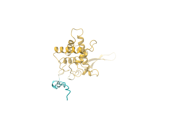 AF-A0A6B7RCJ6-F1 image