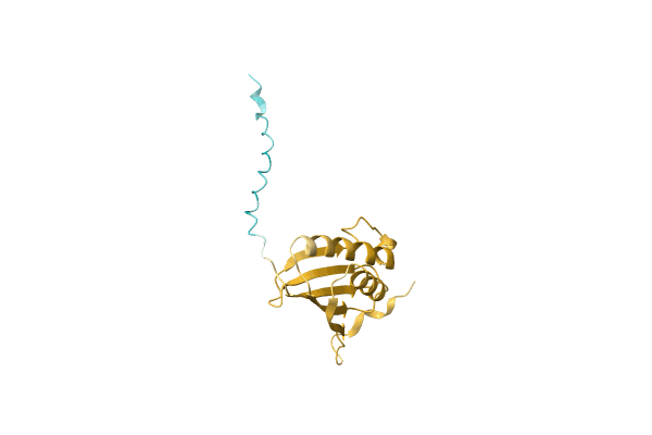 AF-A0A6B9U6S6-F1 image