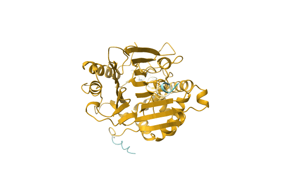AF-A0A6B9UPW3-F1 image
