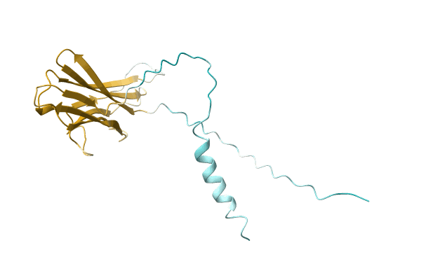 AF-A0A6D2XG38-F1 image