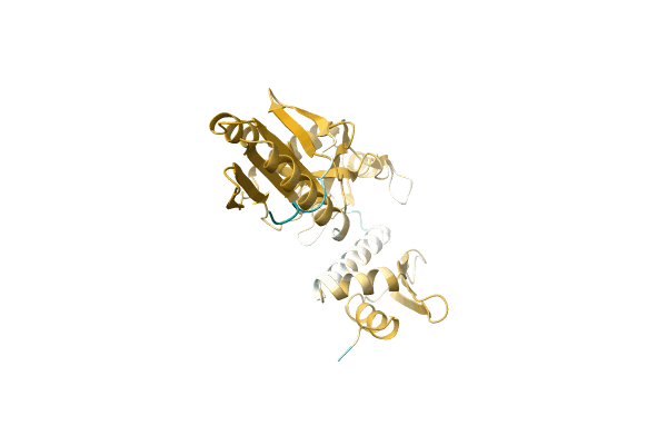 AF-A0A6I4DJ49-F1 image