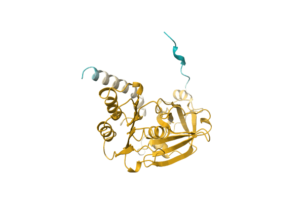 AF-A0A6I6MZD9-F1 image