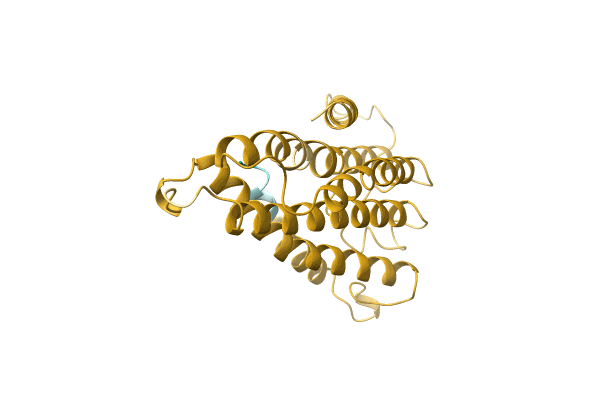 AF-A0A6J3XT39-F1 image