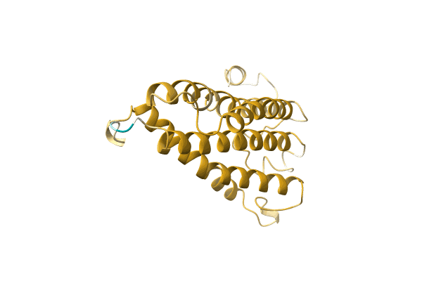 AF-A0A6J3XYY8-F1 image