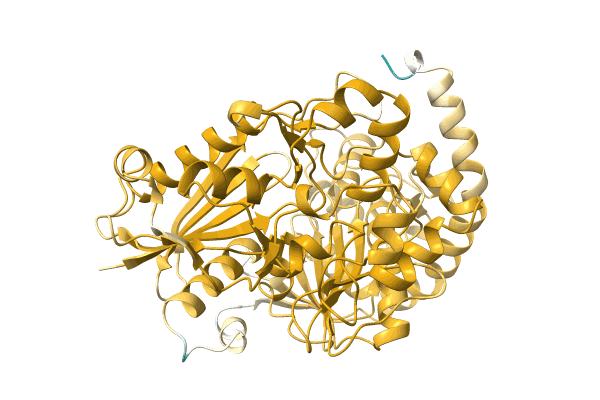 AF-A0A6S4NGD7-F1 image