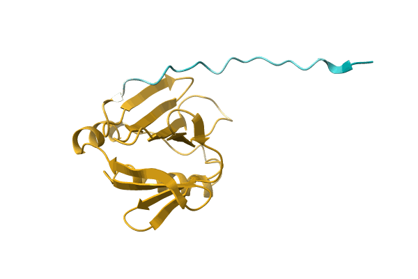 AF-A0A7D6NQH4-F1 image