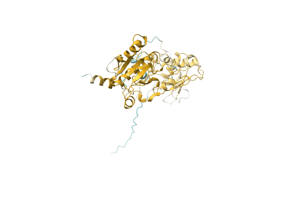 AF-A0A7E5X5U7-F1 image