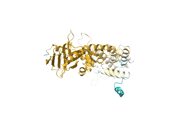 AF-A0A7G1ISH3-F1 image