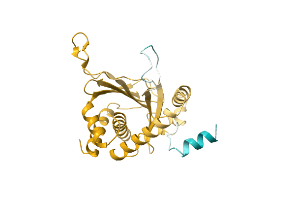 AF-A0A7G1ISV4-F1 image