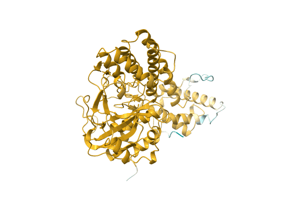 AF-A0A7G8EJ31-F1 image