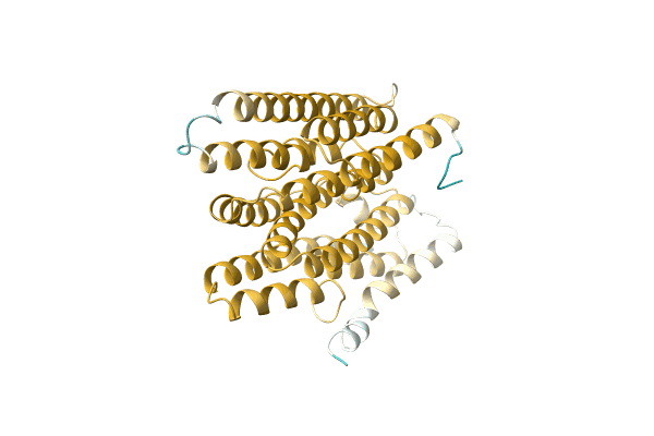 AF-A0A7G9AC13-F1 image