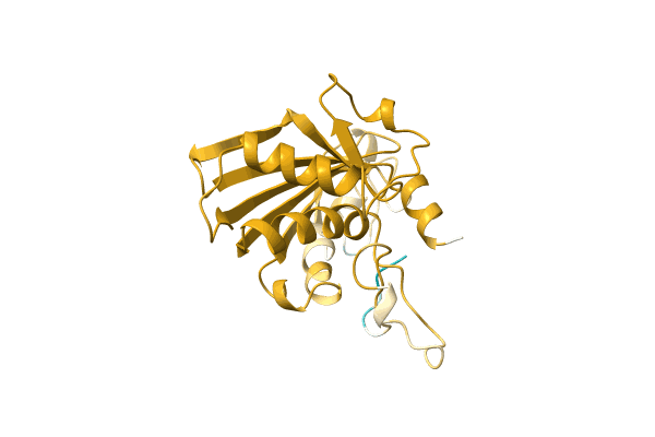 AF-A0A7H1C6Q9-F1 image