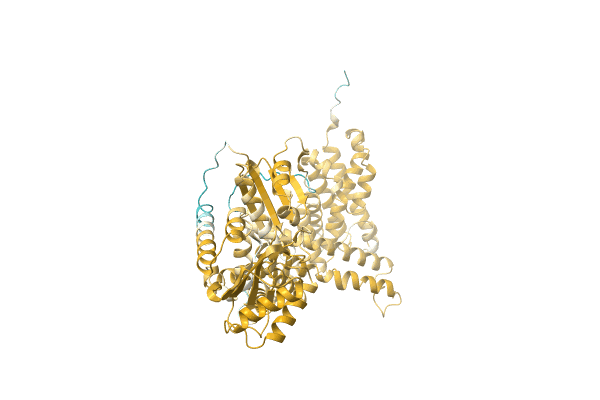 AF-A0A7H9DIZ4-F1 image
