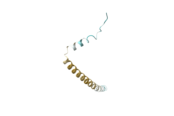 AF-A0A7J4AFG4-F1 image