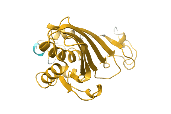AF-A0A7U3QDN0-F1 image