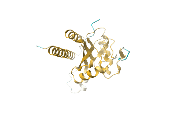 AF-A0A8B3VNL6-F1 image