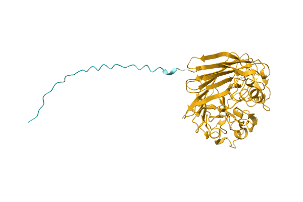AF-A0A8B3VNM4-F1 image