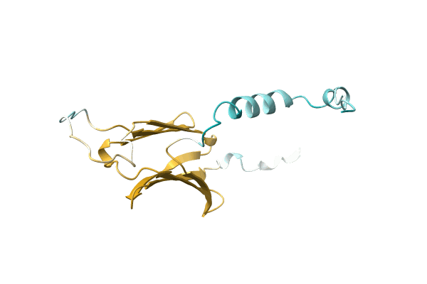 AF-A0A8B5SWT7-F1 image