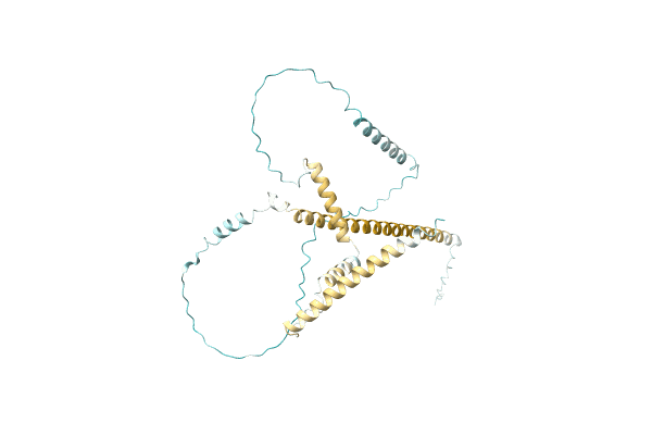 AF-A0A8B6CBX4-F1 image