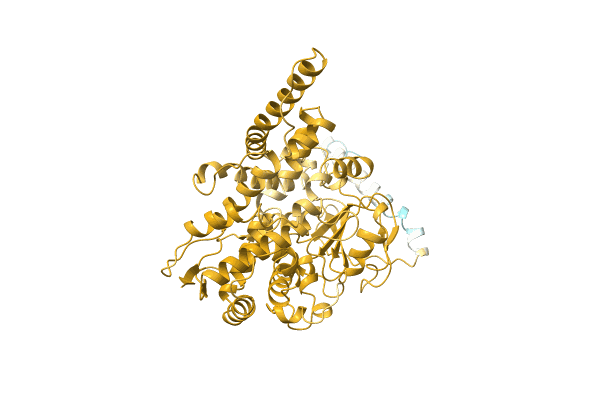 AF-A0JJT8-F1 image