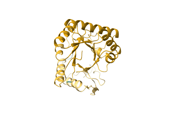 AF-A0JR24-F1 image