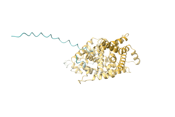 AF-A0JR38-F1 image