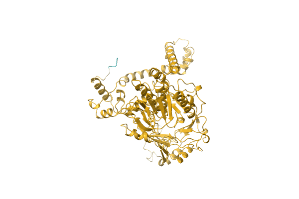 AF-A0KR28-F1 image