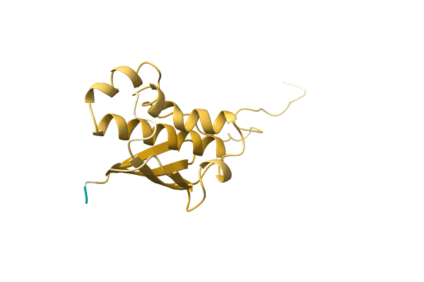 AF-A0LXM9-F1 image