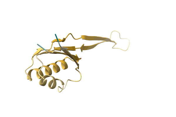 AF-A0RM10-F1 image