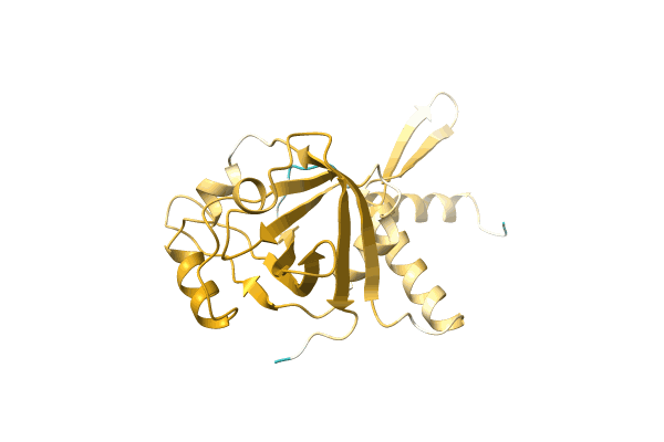 AF-A0RTV6-F1 image
