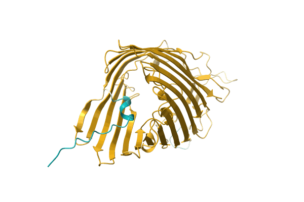 AF-A0RZH5-F1 image