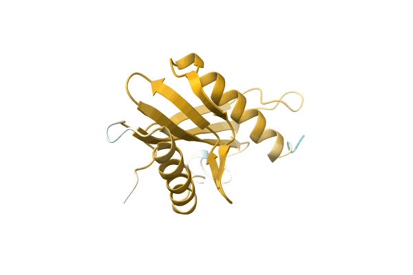 AF-A1BCI0-F1 image
