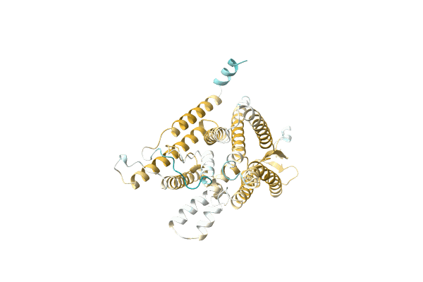 AF-A1C3L4-F1 image