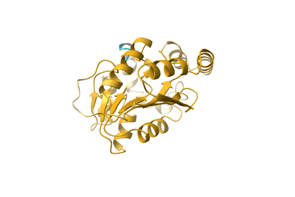 AF-A1DZZ3-F1 image