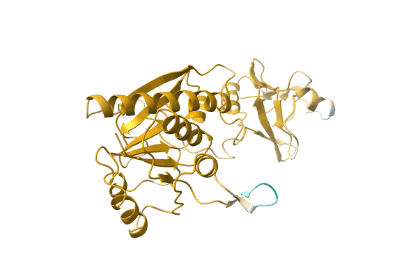 AF-A1KRE6-F1 image