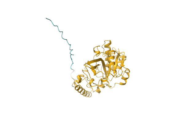 AF-A1KXI0-F1 image