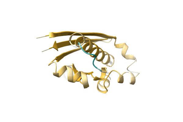 AF-A1QYG3-F1 image