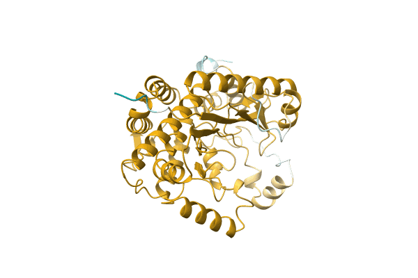 AF-A1R1K8-F1 image