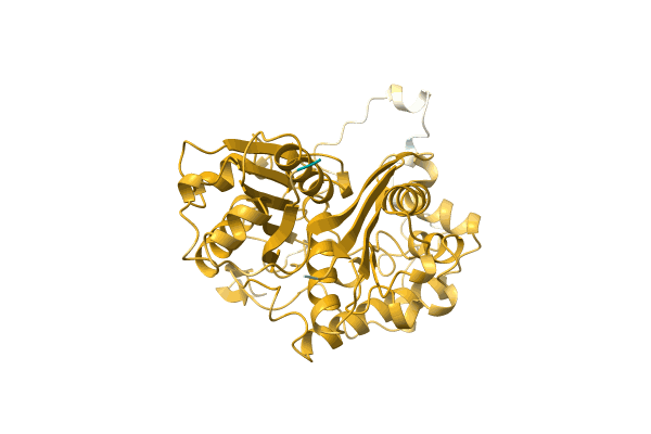 AF-A1RDW3-F1 image