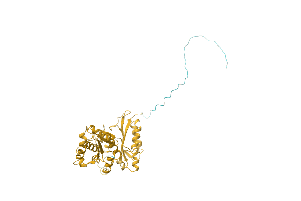 AF-A1SDW7-F1 image