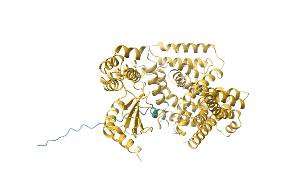 AF-A1T2V5-F1 image